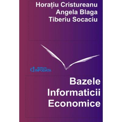 Bazele Informaticii Economice